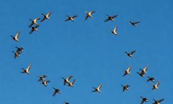 Featured image of post leadership